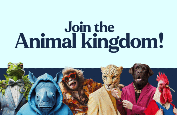 Happy Bites HHC Spacecake – 50mg HHC – Happy Bites HHC